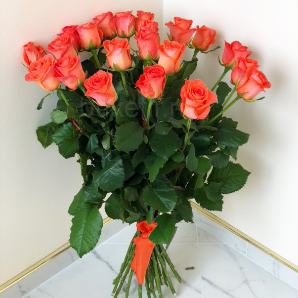 21 коралловая роза, лента в Феодосии