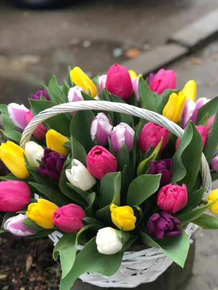 41 тюльпан микс в корзине в Феодосии