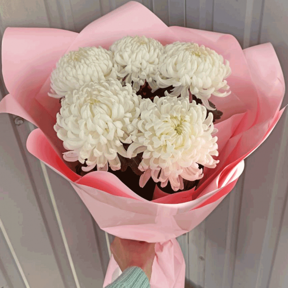 Букет 5 одноголовых хризантем в Феодосии