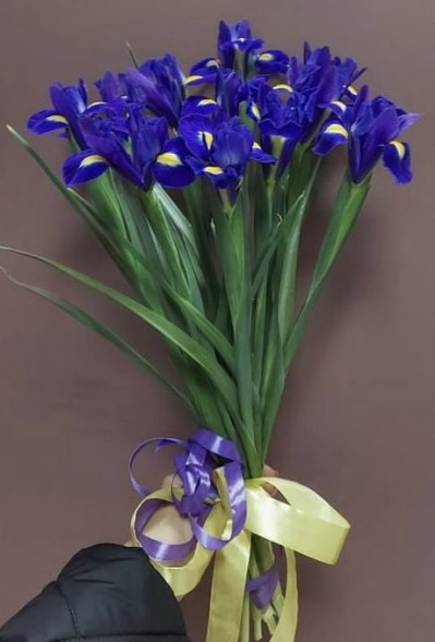 Букет 11 ирисов  в Феодосии