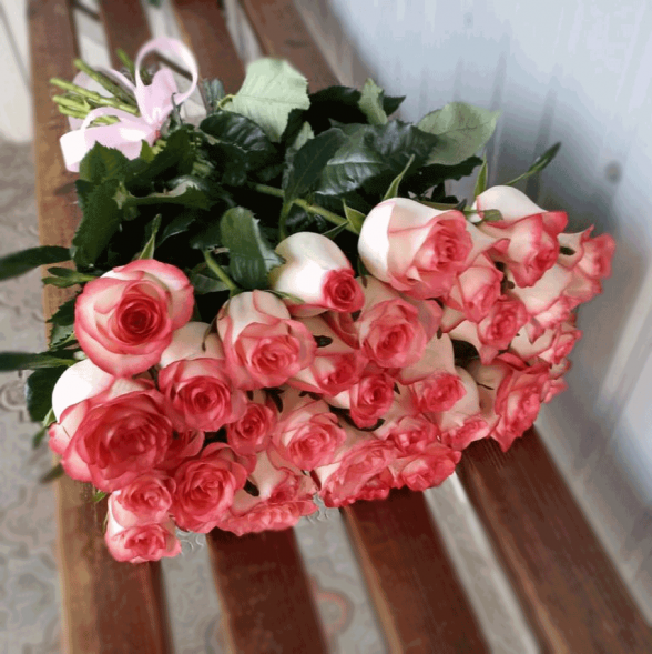 31 розовая роза в Феодосии