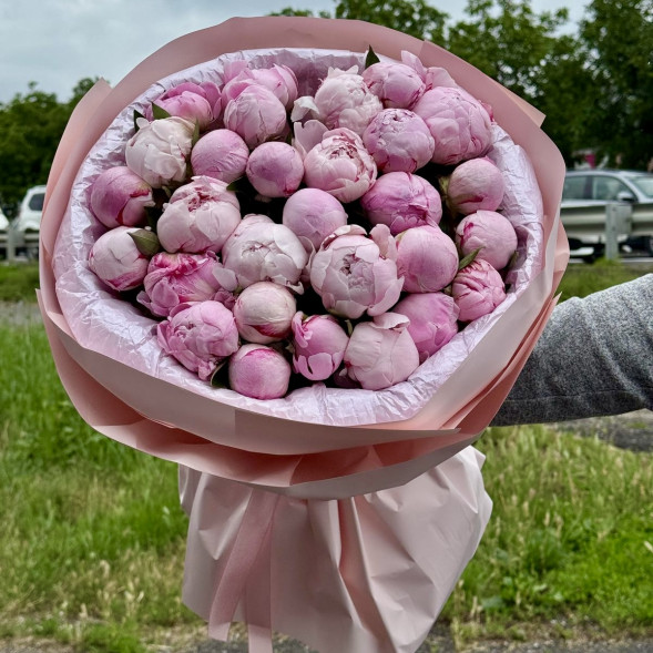 29 пионов &quot;Сара-Бернар&quot; в нежно-розовой упаковке в Феодосии