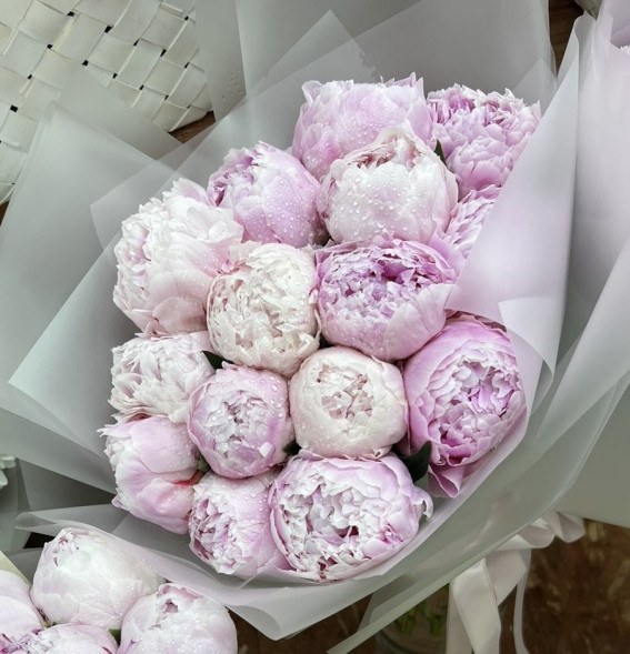 15 пионов Сара Бернар в Феодосии